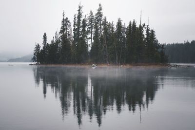 Reflection of trees in lake against sky