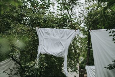 Clothes drying on clothesline against trees