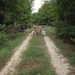 Bicycle on road amidst trees
