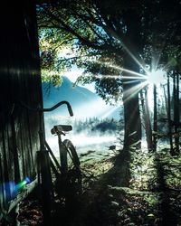 Bicycle by trees against sky