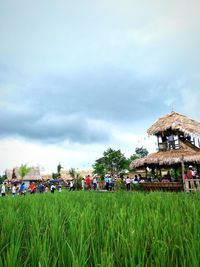 Panoramic view of agricultural field against sky