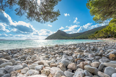 Scenic view of sea against sky