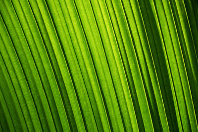 Full frame shot of red curtain