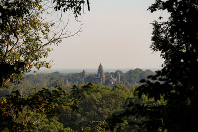 View of trees with buildings in background