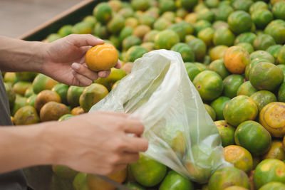 Cropped image of hand holding fruits at market stall