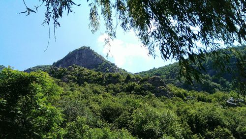 Low angle view of mountain against sky