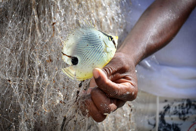 Fisherman holding fish