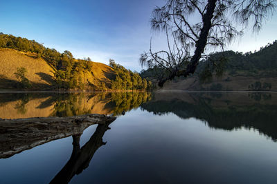 Scenic view of lake by trees against sky