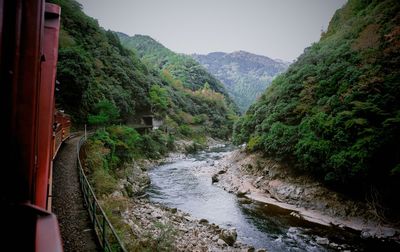 Scenic view of river amidst trees in forest