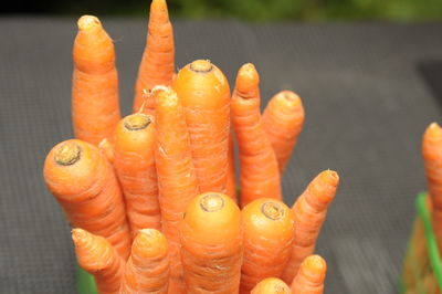 Close-up of orange