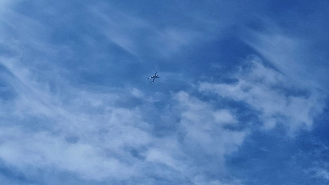 low angle view, sky, airplane, flying, cloud - sky, blue, outdoors, no people, day, air vehicle, nature