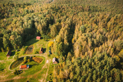 High angle view of trees on field