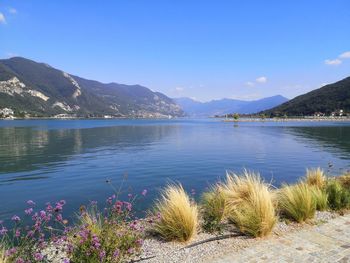 Scenic view of lake against blue sky