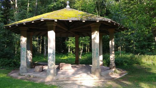 Gazebo in forest