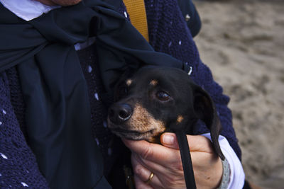 Close-up of man holding dog at beach