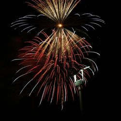 Low angle view of firework display at night