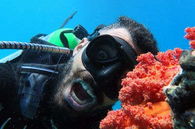 Scuba diving in sea