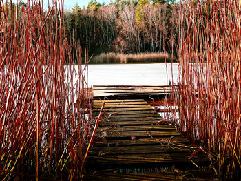 Scenic view of lake against trees