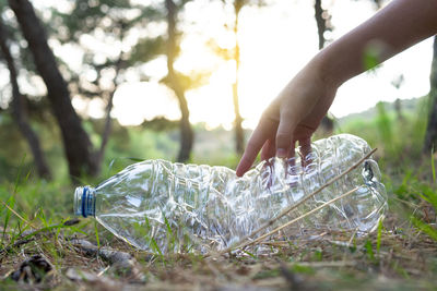 Side view of crop anonymous female volunteer picking plastic bottle in woods while cleaning natural environment from garbage