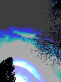 Low angle view of rainbow over trees against blue sky