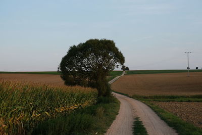 Road amidst agricultural field against sky