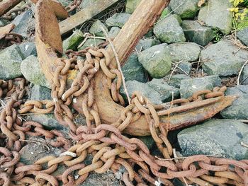 High angle view of old stack on rock