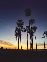 Silhouette palm trees at sunset