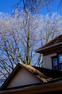 Low angle view of bare tree against sky