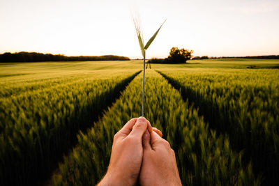 Low section of person relaxing on field