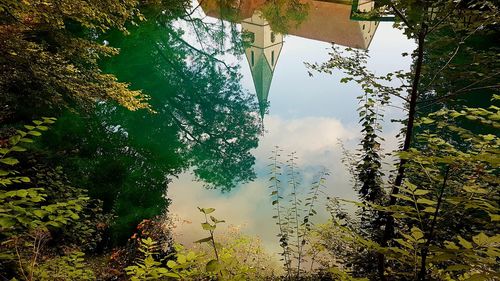 Reflection of trees in lake against sky