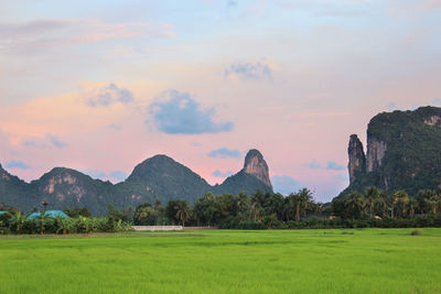 Scenic view of landscape against sky during sunset