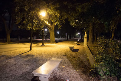 Empty bench in park at night