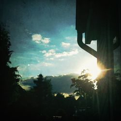 Low angle view of trees against sky