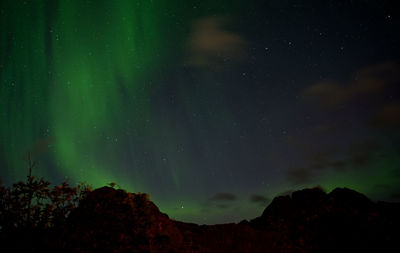 Aurora borealis on lofoten islands