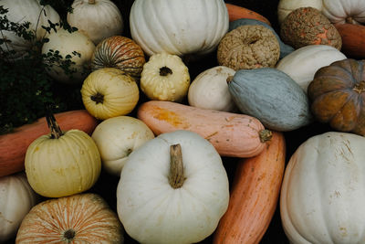 Full frame shot of pumpkins for sale