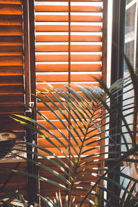 Close-up of metal grate against window