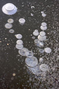 High angle view of bubbles in water