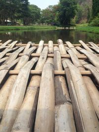 Wooden logs in the forest