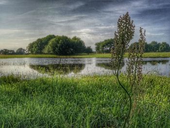 Scenic view of lake by trees against sky