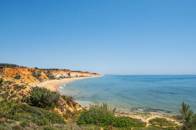 Scenic view of sea against clear blue sky