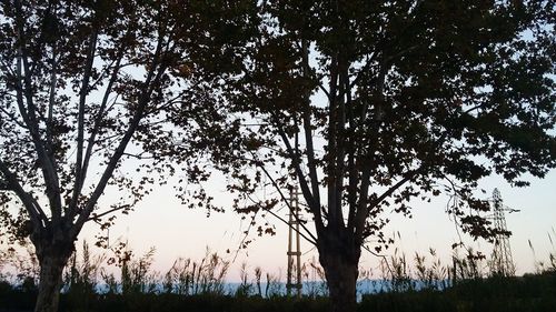 Silhouette trees on field against sky