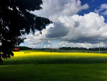 Scenic view of field against cloudy sky