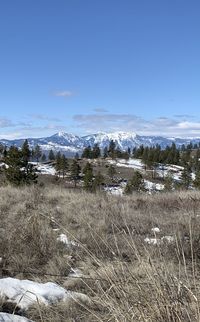 Scenic view of snow field against sky