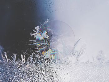 Close-up of frost on glass