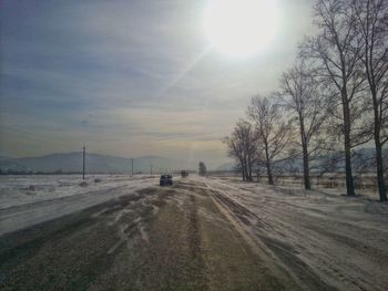 Road passing through forest