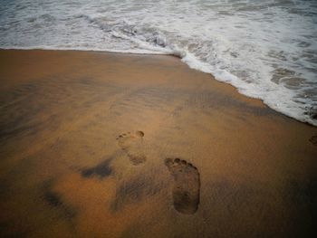 High angle view of footprints on beach