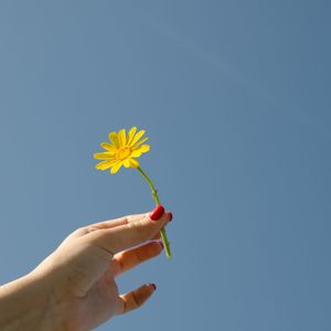 Low angle view of flowers against clear blue sky