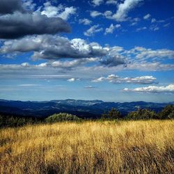 Scenic view of landscape against cloudy sky