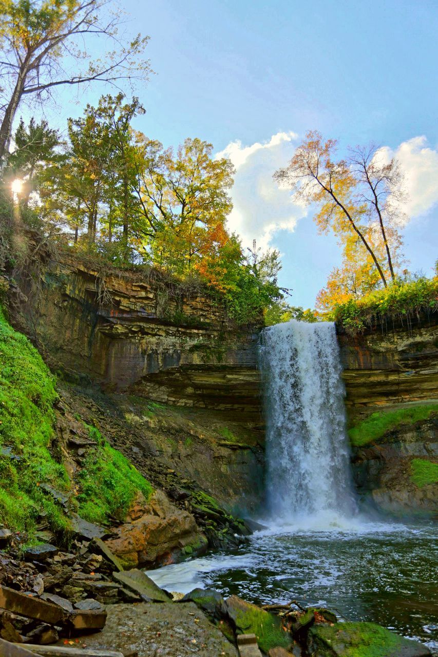 tree, water, waterfall, motion, flowing water, beauty in nature, scenics, flowing, nature, sky, growth, long exposure, green color, splashing, tranquil scene, sunlight, tranquility, idyllic, grass, day