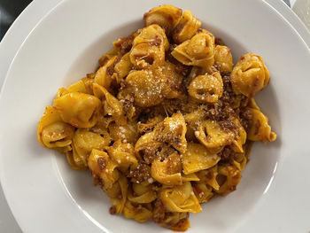 Tortellini with bolognese sauce, tortellini al ragù bolognese, with parmigiano reggiano cheese.